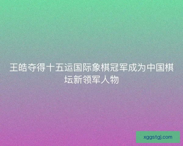 王皓夺得十五运国际象棋冠军成为中国棋坛新领军人物